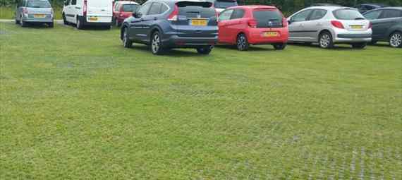 stow maries
                                                    grass reinforcement